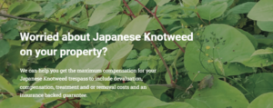 Knotweed Survey – Sign up for the free knotweed survey and learn more about this invasive weed.