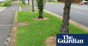 Glyphosate Ban in Guildford
