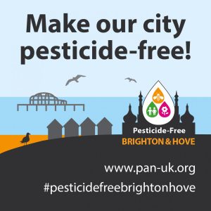 Glyphosate Ban in Brighton and Hove