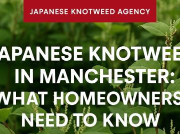 Japanese Knotweed in Manchester