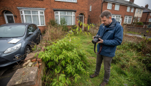 Invasive Species Compliance: Safeguarding UK Homes