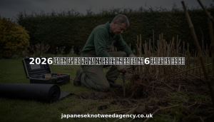 2026年最佳日本结缕草处理方法的6个解决方案