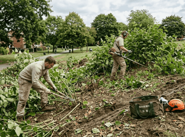 2026年环保除草方法：有效清除日本葛与入侵植物