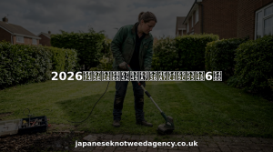 2026年非化学杂草控制产品榜单前6名