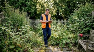 Energetic weed treatment: Chemical-free knotweed solutions