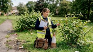 Council obligations for invasive plants: legal duties & solutions