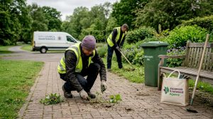 Council weed policies: chemical-free control strategies
