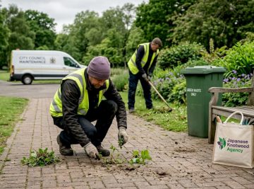 Council weed policies: chemical-free control strategies