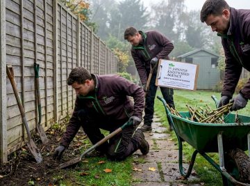 How innovation is driving chemical-free knotweed eradication