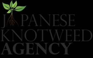 Knotweed encroachment law: what homeowners must know