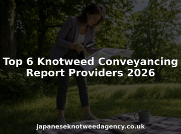 Top 6 Knotweed Conveyancing Report Providers 2026