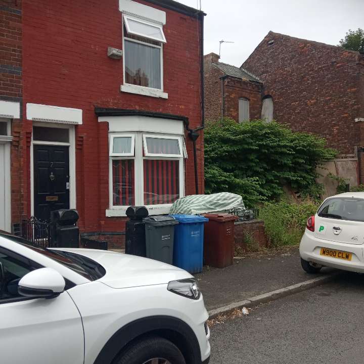 Japanese Knotweed infestation affecting a terraced house boundary, requiring expert survey and treatment.
