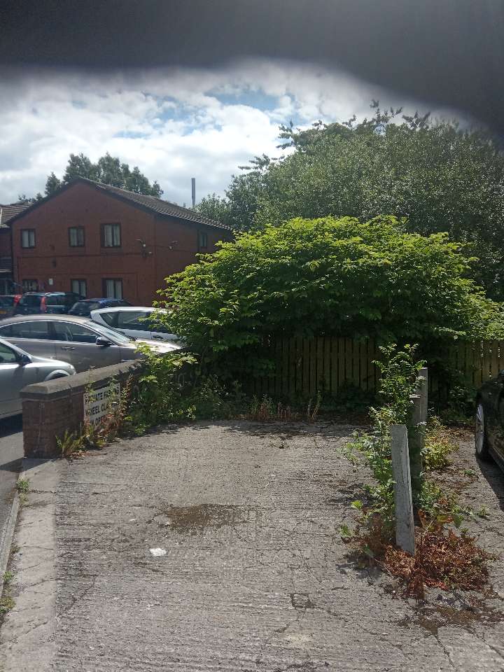 Japanese Knotweed excavation and removal works showing contaminated soil being excavated on a UK site
