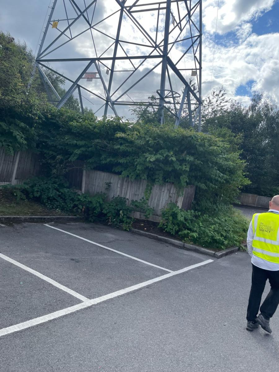 Surveyor in high-vis inspecting Japanese Knotweed growth near a large electricity pylon on commercial property.