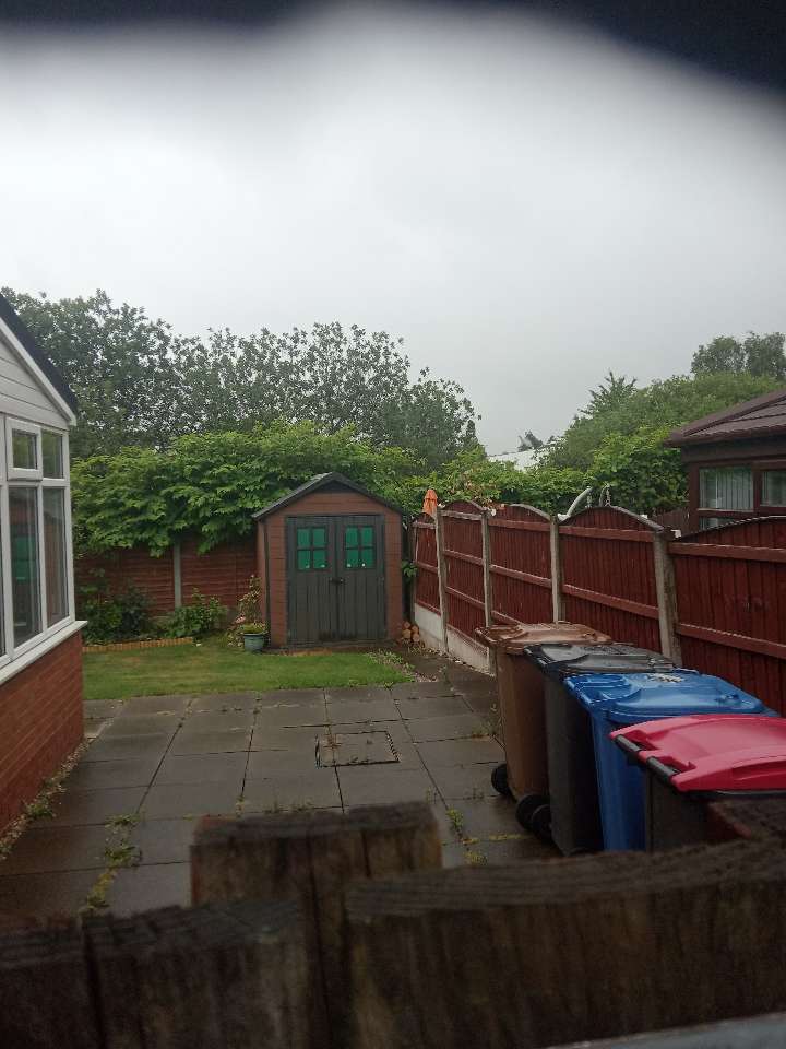 Professional residential survey of a Japanese Knotweed infestation in a UK back garden.