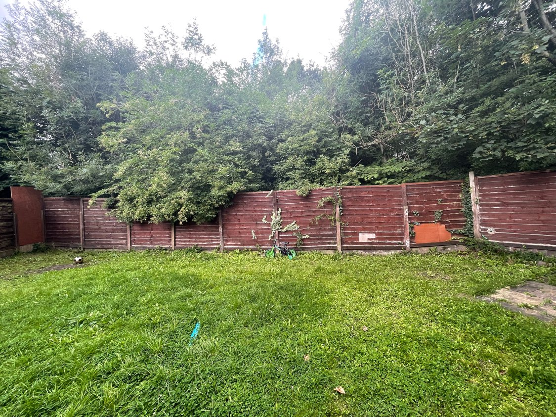 A garden area featuring Japanese Knotweed growth along a wooden fence line, obstructing a residential lawn.