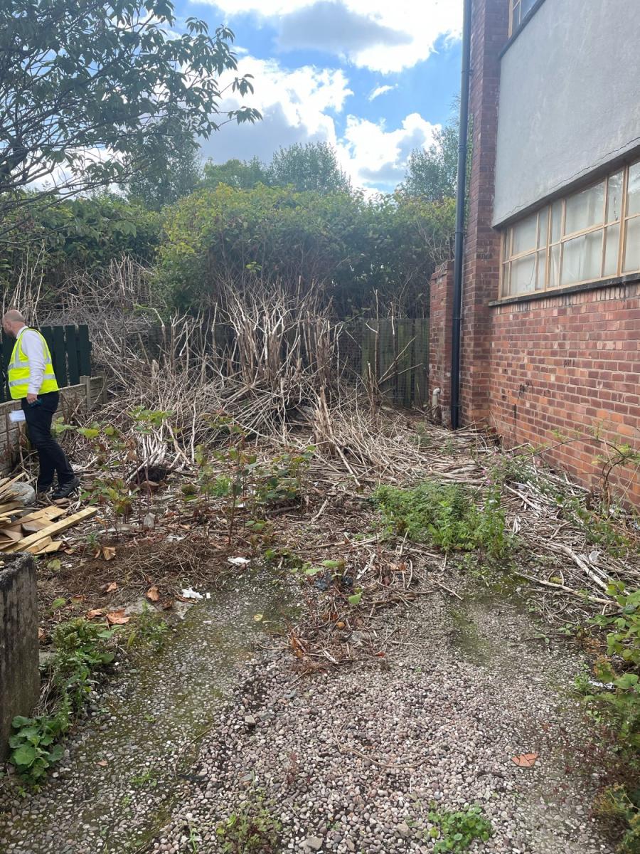 An inspector in a high-visibility jacket surveying an area of land with Japanese Knotweed residue near a building wall.