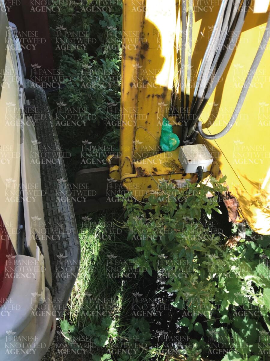 Professional excavation equipment used for the safe and controlled removal of Japanese Knotweed on a site visit.