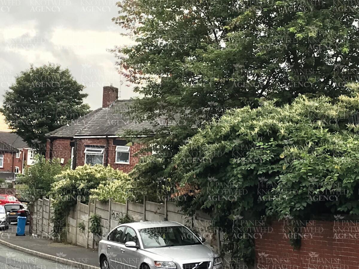 A residential property boundary heavily overgrown with Japanese Knotweed, threatening property value and structure.