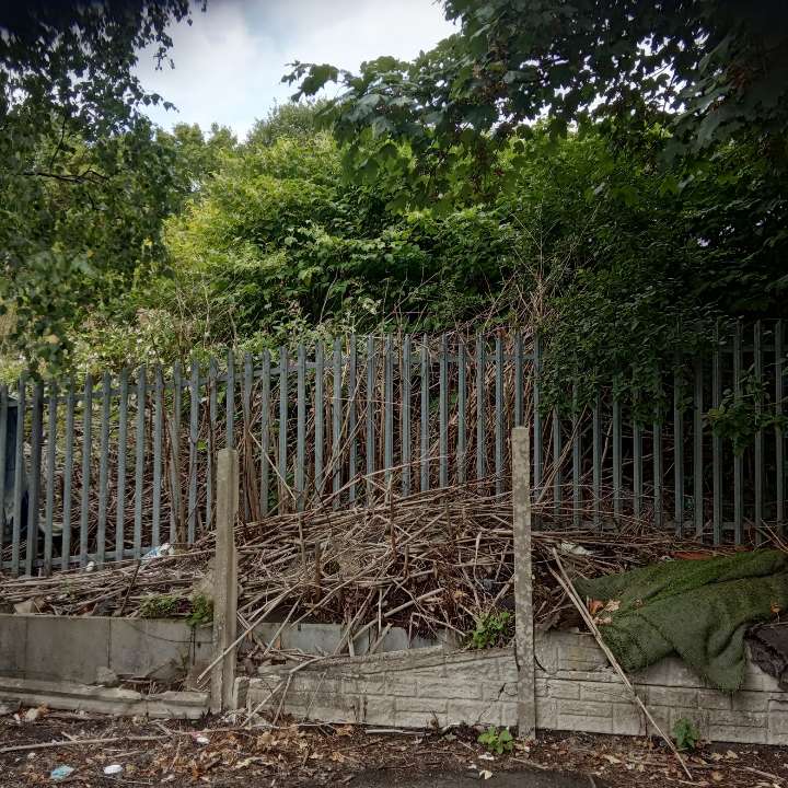 Japanese Knotweed remains and debris piled near a metal fence during excavation.